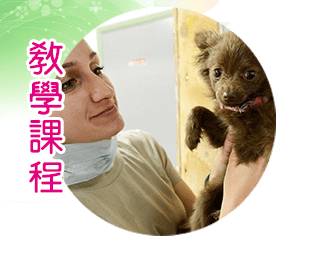 大台北動物醫院